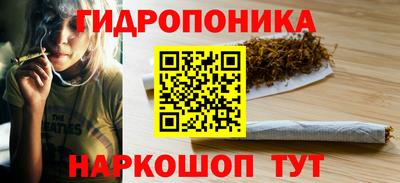 спайс Славгород