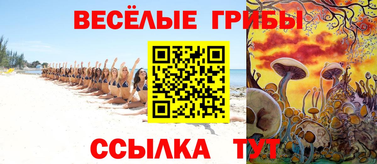 Галлюциногенные грибы Psilocybe  Вход с VPN  Скопин 